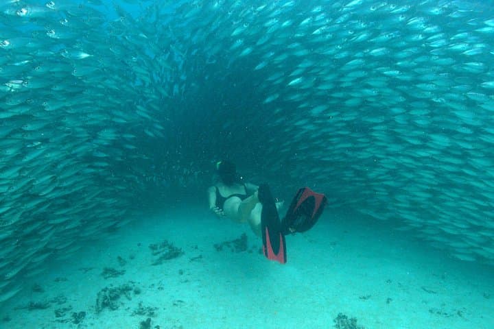 Mayan Adventure Snorkel Tour from Playa del Carmen: Reefs, Cenote & Underground River photo 3