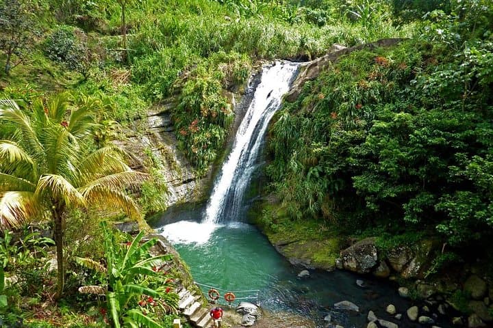 Concord Waterfall and Chocolate Factory Half‑Day Tour — Grenada’s West Coast & Rainforest photo 2