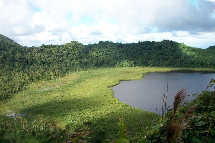 Concord Waterfall and Chocolate Factory Half‑Day Tour — Grenada’s West Coast & Rainforest photo 3