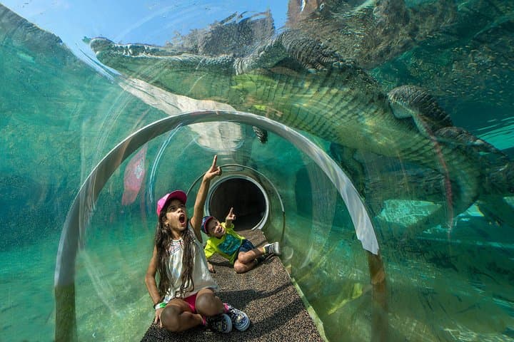 Explore Zoo Miami: Guide to Tickets, Exhibits & Practical Tips photo 2