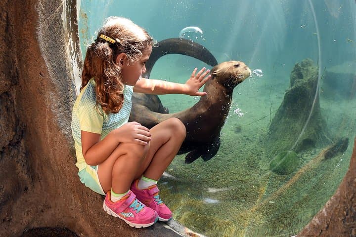 Explore Zoo Miami: Guide to Tickets, Exhibits & Practical Tips photo 3