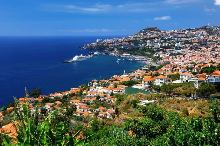 Funchal Hop-On Hop-Off and Catamaran Whale & Dolphin Watching — Bus & Boat Combo
