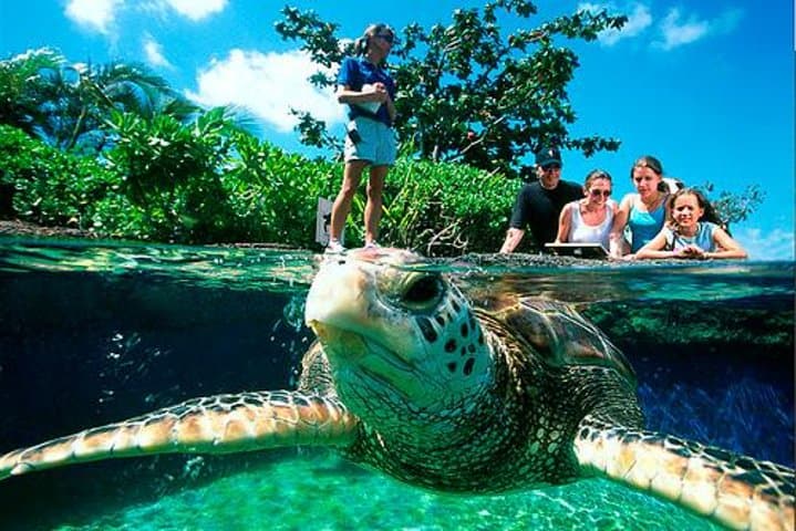 Skip-the-Line Palma Aquarium from Port Alcudia — Bus Transfer & Entry photo 2