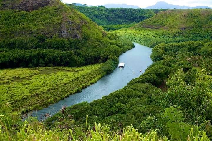 Best of Kauai: Fern Grotto River Cruise & Kilauea Lighthouse Day Tour photo 2