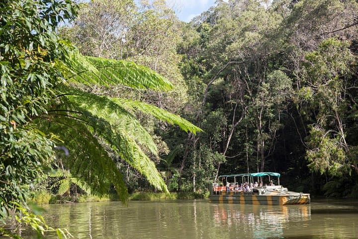 kuranda-army-duck-scenic-railway-and-skyrail-rainforest-day-tour