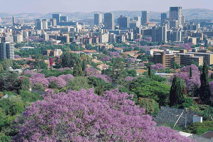 Pretoria & Soweto Day Tour: Apartheid Museum, Vilakazi Street and Voortrekker Monument photo 2