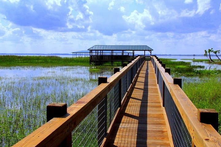 Wild Florida Airboat Adventure from Orlando — Airboat Ride, Gator Park & BBQ photo 3