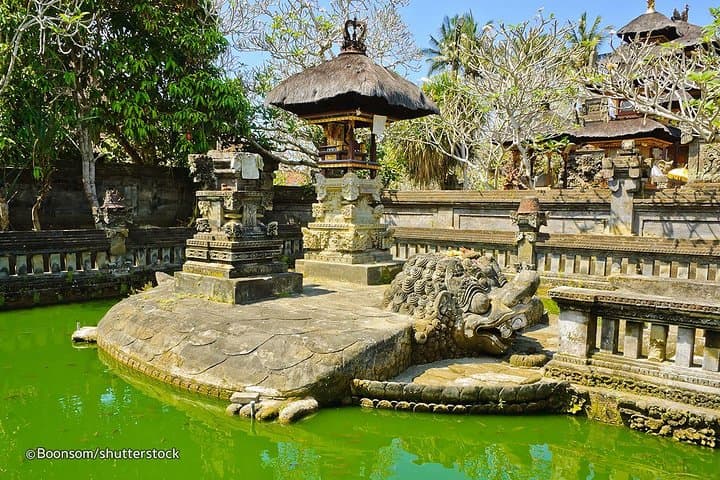 Ubud Highlight Tour: Temples, Waterfalls & Rice Terraces in a Day photo 2