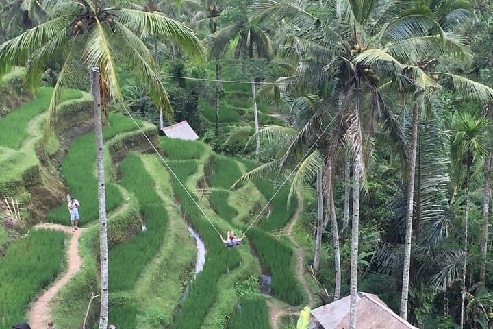Ubud Ayung River Rafting and Tegalalang Swing Combo