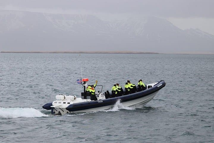 RIB Whale Watching from Reykjavik: 2-Hour High-Speed Tour to Akurey photo 4