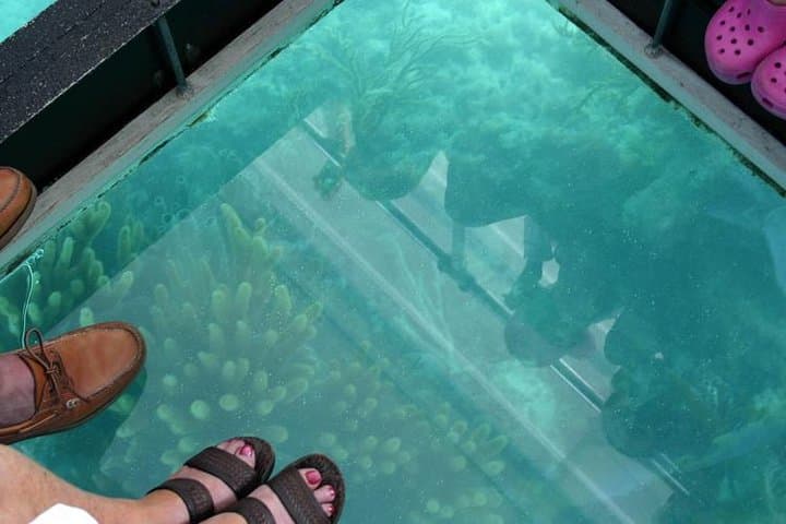 Bermuda Triangle Twilight Cruise: Glass-Bottom Night Sail from Hamilton photo 3