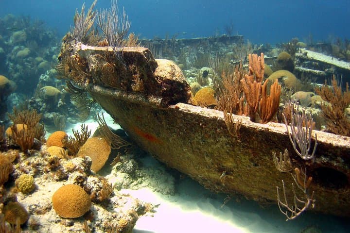 Shipwreck Snorkel in Bermuda: Explore the Constellation & Montana Wrecks