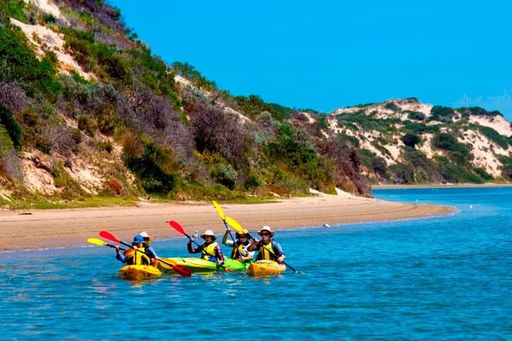 Full-Day Kayak Through the Coorong: Murray Mouth Eco Tour