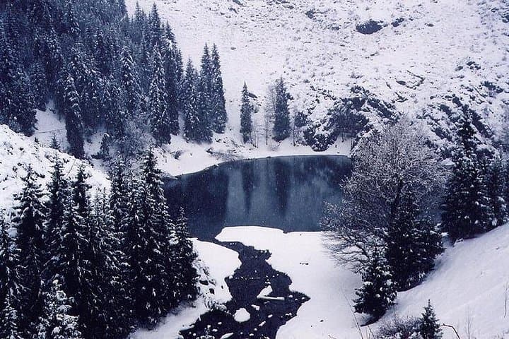 Heaven Lake (Tianchi) Day Tour from Urumqi — Boat, Hike & Alpine Views photo 1