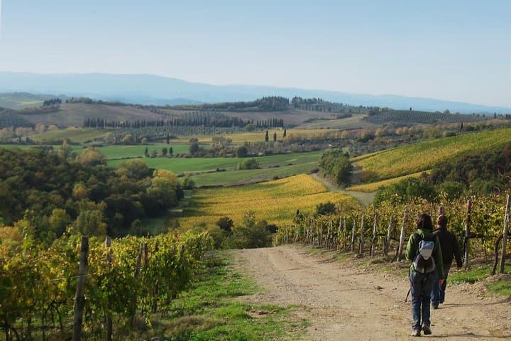 Guided Hiking in Tuscany: Private Day Trek from Siena to San Gimignano
