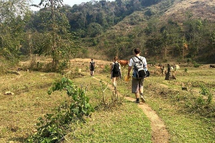 Trek to Kuang Si Waterfall and Hmong Village — Full-Day from Luang Prabang photo 3