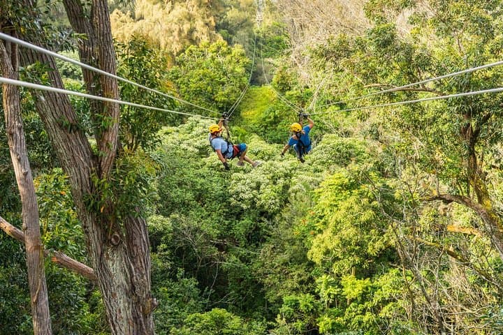 Kohala Zip and Dip Adventure on Hawaii’s Big Island: Zipline, Hike & Waterfall Swim