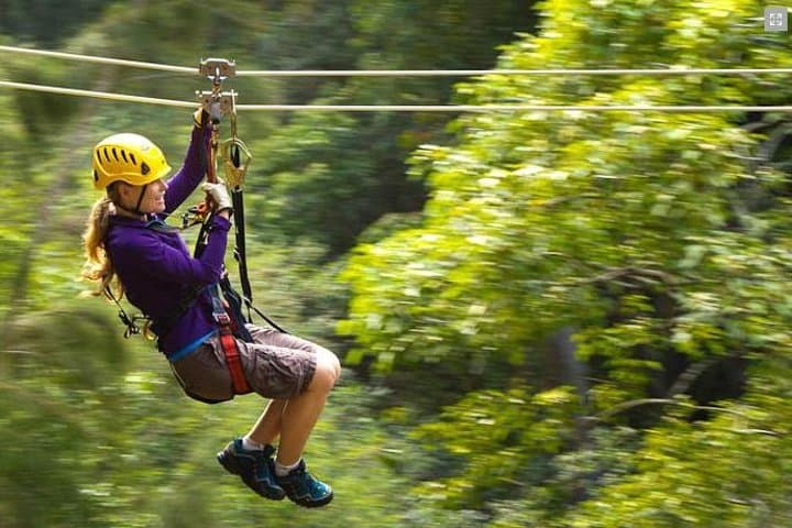 Big Island Kohala Canopy Zipline Adventure: Soar Above Hawaii’s North Kohala Forest