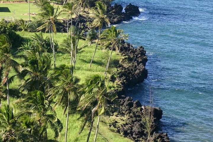 Luxury Road to Hana and Ka'eleku Cavern: Waterfalls, Black Sand, and Lava Light photo 2