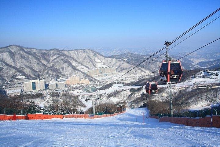 Vivaldi Park Ski Day Trip from Seoul — Gondolas, Slopes & Snowyland photo 3