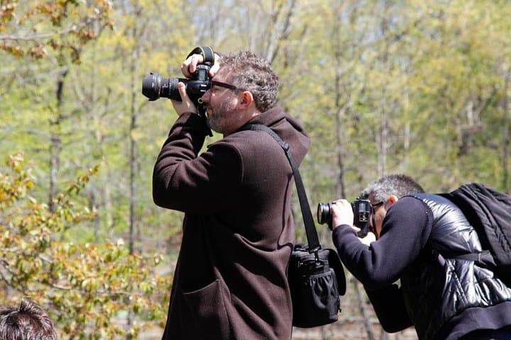 Central Park Photography Tour: Capture Iconic NYC Scenes with a Local Guide photo 5
