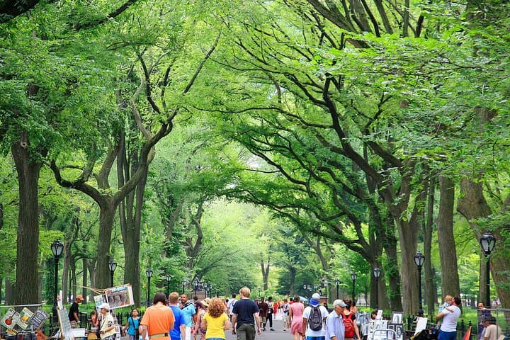 Central Park Photography Tour: Capture Iconic NYC Scenes with a Local Guide photo 4