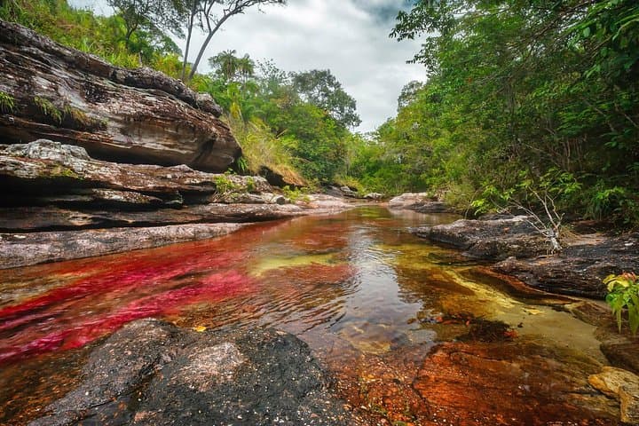 Caño Cristales 3-Day Jungle Trek from Bogota — Macarena Rainbow River Adventure photo 1