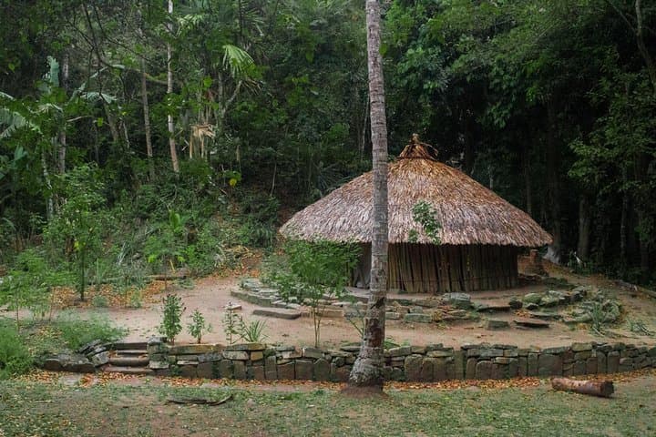 Trek to Cabo San Juan: Day Hike Through Tayrona National Park photo 6