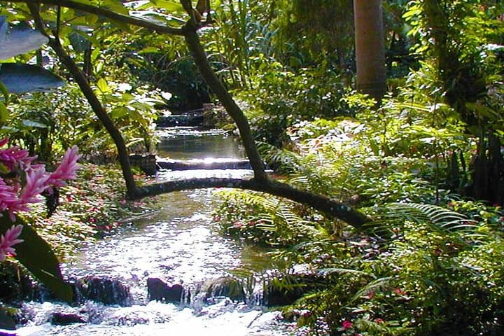 Private Tour to Konoko Falls & Gardens from Ocho Rios — Climb Waterfalls and Local Culture