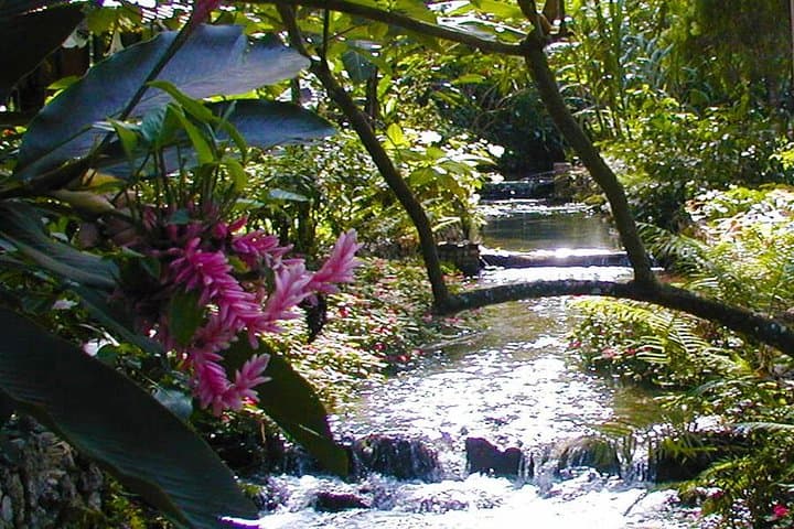 Private Combo Tour from Ocho Rios to Blue Hole & Konoko Falls — Swim, Climb and Explore photo 2