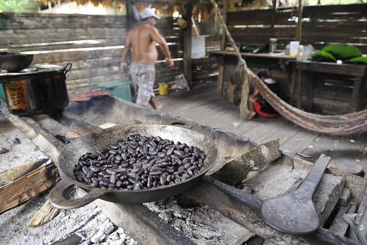 Bribri Indigenous Reserve Chocolate & Waterfalls Day Tour — Puerto Viejo Cultural Immersion