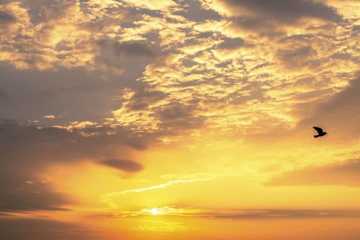 Dubrovnik Sunset Cruise: Private 2-Hour Jeanneau Cap Camarat Experience photo 2