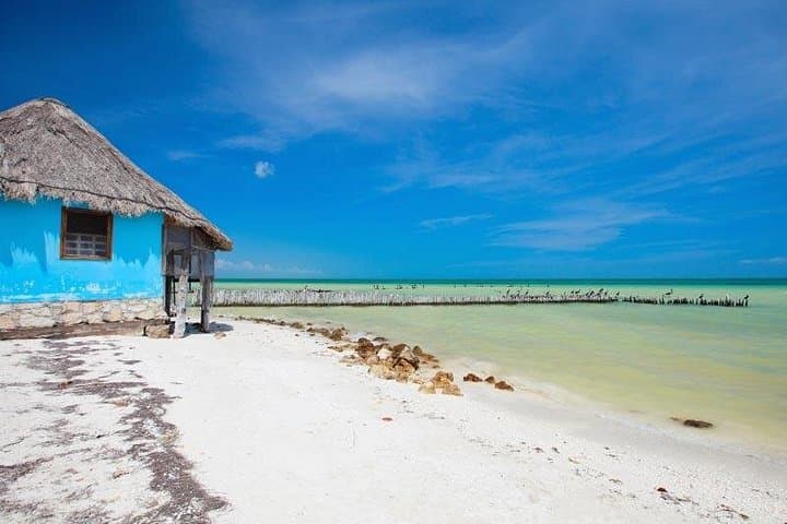 Holbox Island Tour from Cancun — Day Trip to Punta Mosquito & Passion Island photo 2