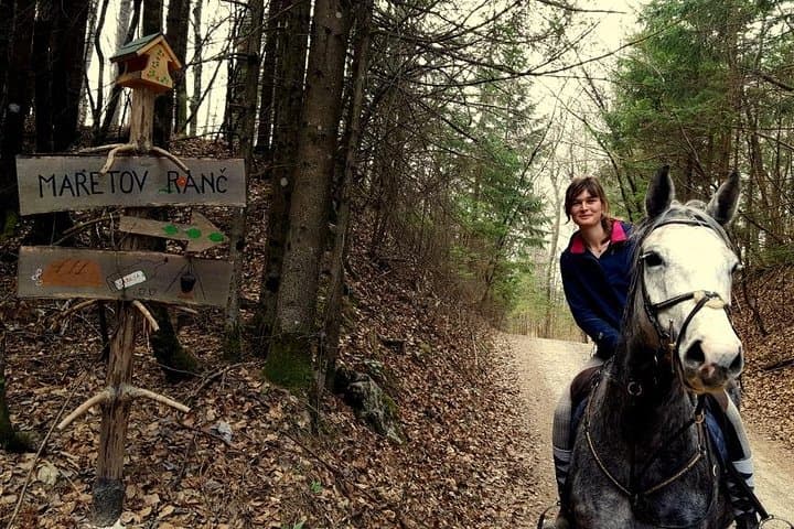 Horseback Riding in Bled: Scenic Lake Bled Alpine Horseback Tours