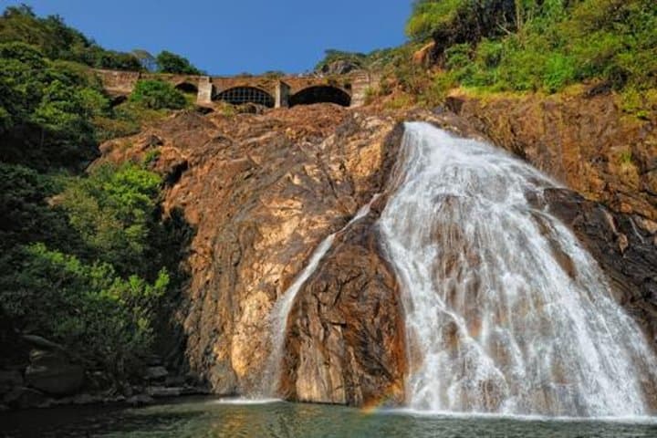 Dudhsagar Falls Jeep Safari: Day Trip to Mollem National Park from Goa