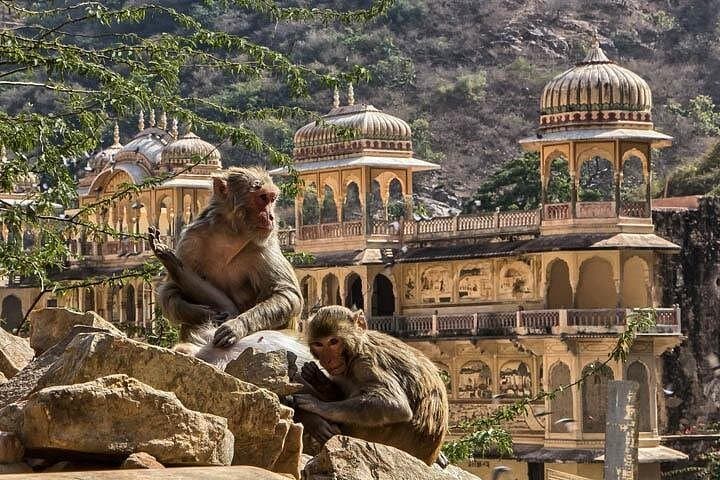 Exotic Rajasthan Tour: Thar Desert, Forts & Lake Cities (9-Day Private Tour) photo 2