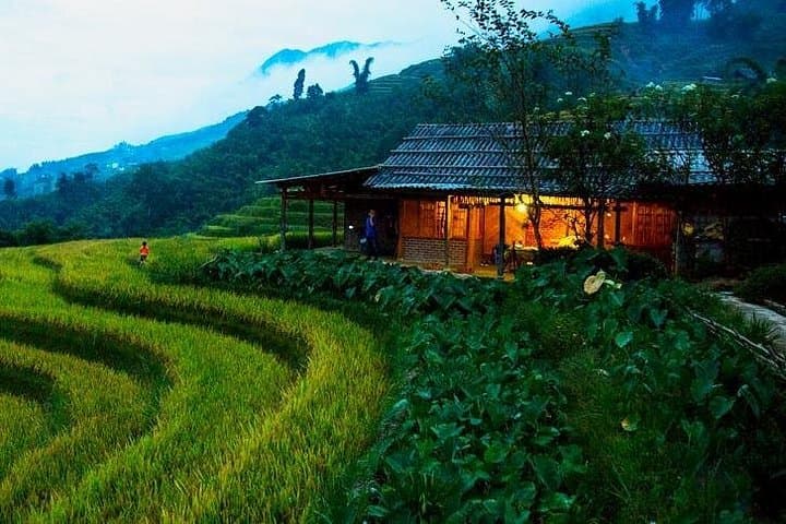 Sapa to Bac Ha: 3-Day Private Trekking and Homestay Tour in Northern Vietnam photo 2