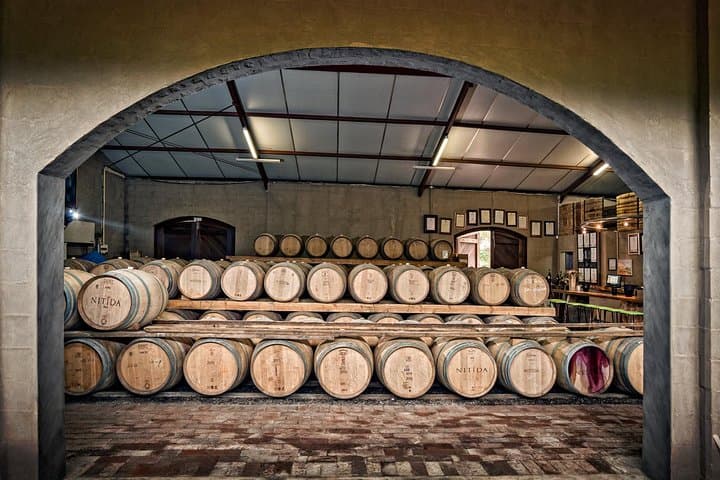 Durbanville Valley Winelands Full-Day Private Wine Tasting Tour from Cape Town photo 5