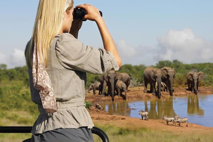 10-Day Cape Town and Garden Route Tour: Cape Peninsula, Winelands & Addo Safari photo 3