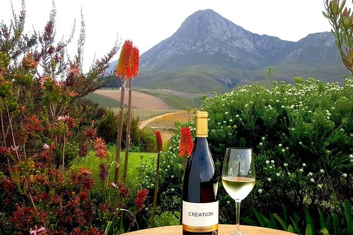 Hemel-en-Aarde Whale Coast Wine Day Tour from Cape Town photo 2