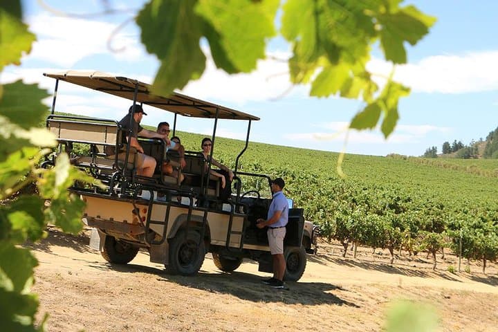Private Stellenbosch Winelands Tour: 4x4 Wine Safari, Reserve Tastings & Brandy Pairings