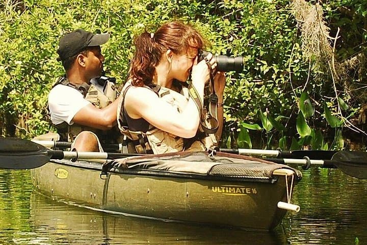 Paddle the Everglades Mangrove Tunnels: 3-Hour Guided Kayak Eco Tour photo 3