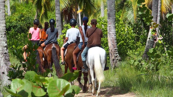 Horseback Riding on Playa La Barbacoa — Samana Peninsula Beach Ride from Las Terrenas photo 2