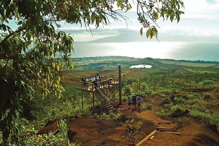 Ka'anapali 8-Line Zipline Adventure — Soar Over Kahoma Valley & Ocean Views
