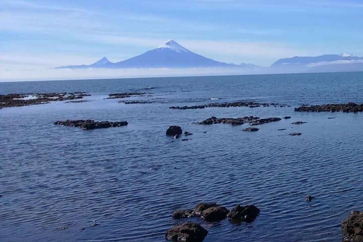 Shore Excursion: Puerto Montt, Puerto Varas & Frutillar in One Day photo 5