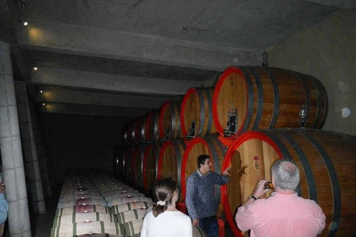 Private Wine Tour from Valparaíso to Casablanca Valley
