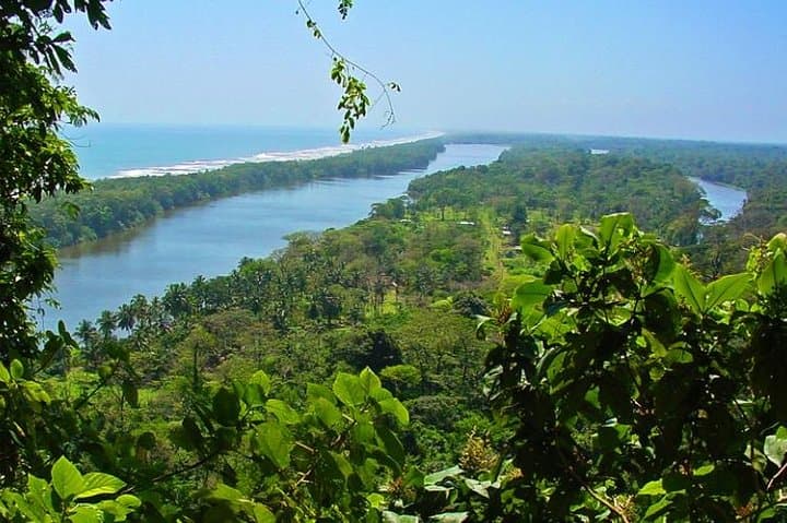 Tarcoles River Boat Tour from Puntarenas: Crocodiles & Carara Wildlife photo 1