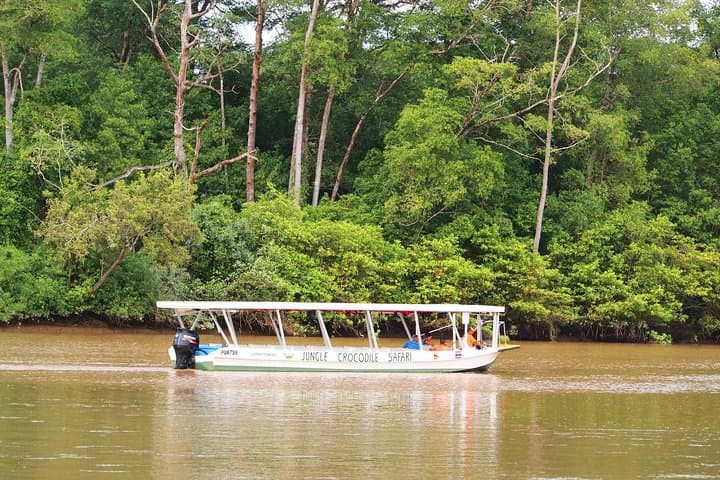 Tarcoles River Boat Tour from Puntarenas: Crocodiles & Carara Wildlife photo 3