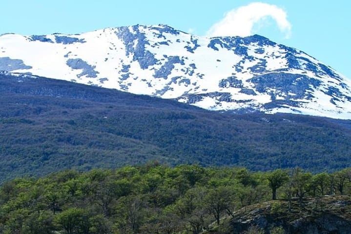 Private Ushuaia Shore Excursion to Tierra del Fuego National Park — 4‑Hour Guided Hikes & Lakes photo 3