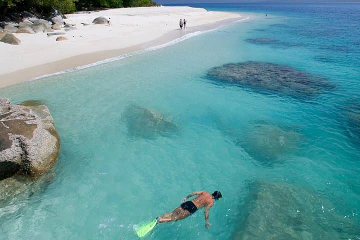 Fitzroy Island Day Trip from Cairns: Snorkel the Great Barrier Reef and Hike Rainforest Trails photo 4